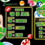 Daftar Togel OVO: Agen Resmi Terpercaya