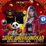 Agen Habanero XL Terpercaya untuk Keperluan Anda