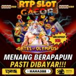 Bandar Depo 10k Terjitu di Indonesia: Tempat Terbaik untuk Bermain Judi Online