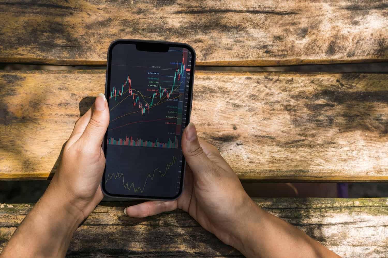 Temukan Penawaran Bonanza Terbaik di Indonesia